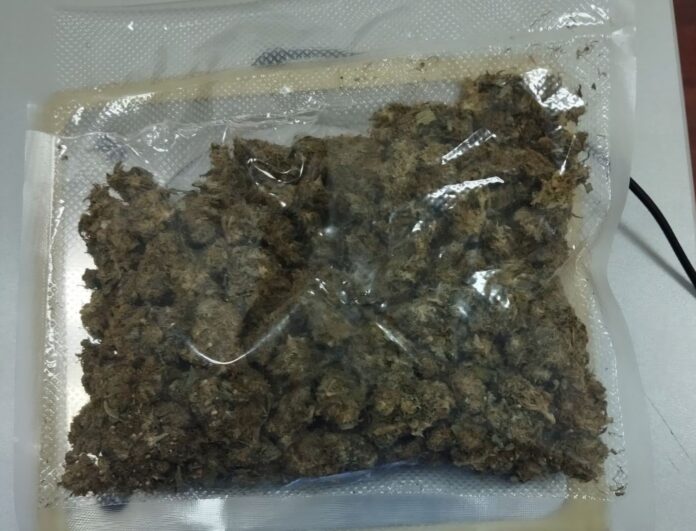 IMG-2f29de3ab56304f559b67d2d0460381e-V