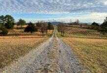 Za održavanje makadamskih puteva 1,9 miliona KM