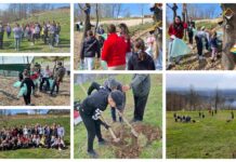 Nagrade i zahvalnice učesnicima ovogodišnje akcije „Čisto proljeće“ biće uručene 3. aprila