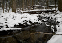 Vode Srpske: Topljenje snijega može da utiče na rast vodostaja