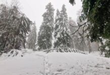 Nacionalni park “Kozara”: Apel posjetiocima da ne dolaze na Kozaru zbog snijega