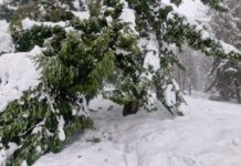 Pripadnici Oružanih snaga BiH očistili od snijega oko 10 kilometara puta na Kozari