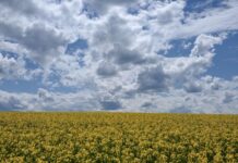 Za vikend promjenljivo sa sunčanim periodima