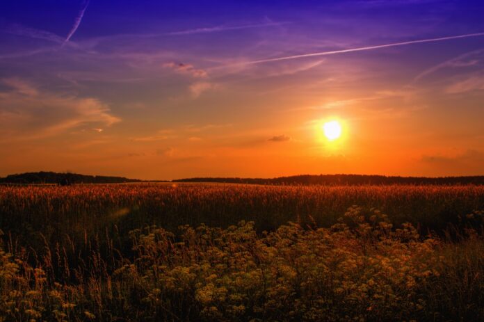 peterdargatz-sunset-789974_1280