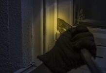 Provaljivao u ugostiteljske objekte i krao novac