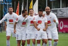 Borac razbio Vikingur na Islandu