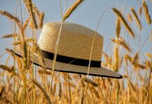 Do 18. avgusta vrlo toplo – i do 40 stepeni Celzijusovih