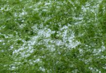 Komisija u Pijedoru evidentira štete od olujnog nevremena