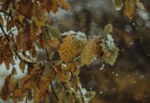 Meteorolozi najavljuju preokret