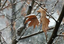 Meteorolozi najavili snijeg do kraja sedmice